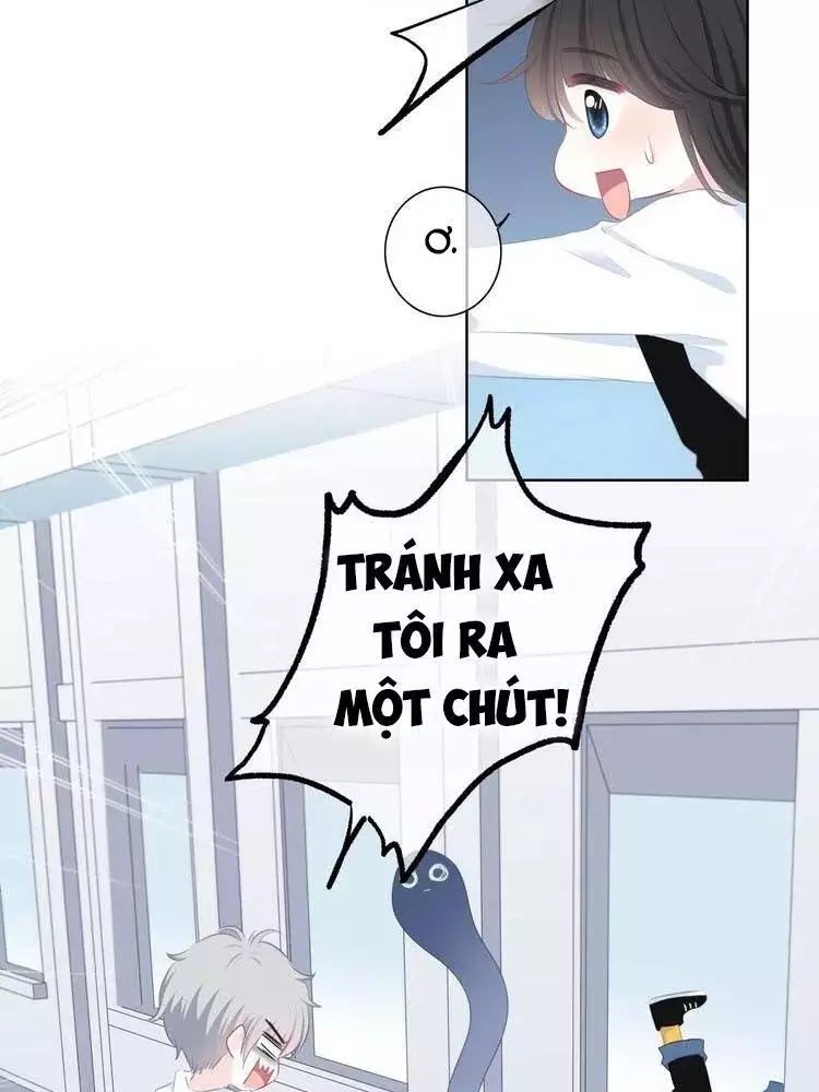 Vấp Phải Phản Quang Chap 3 - Next Chap 4