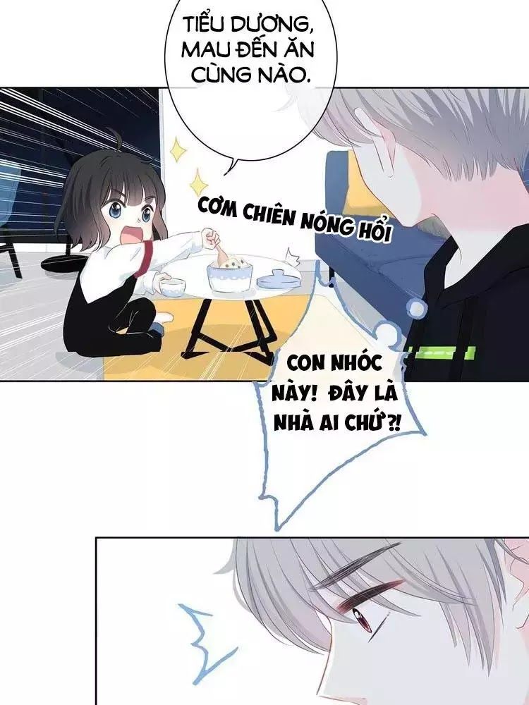 Vấp Phải Phản Quang Chap 3 - Next Chap 4
