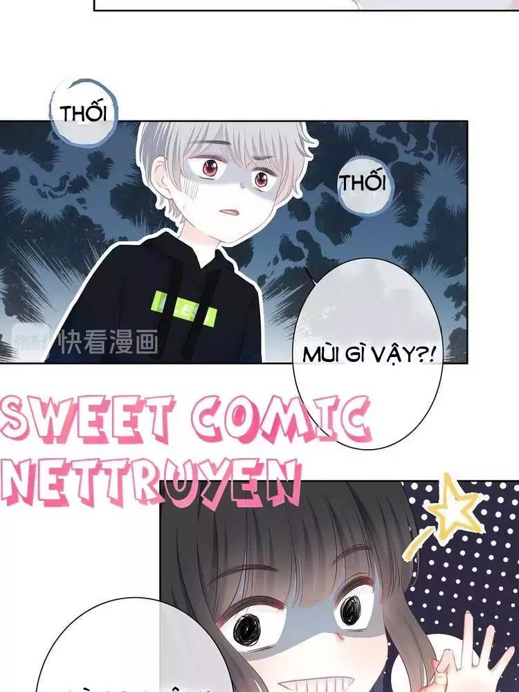Vấp Phải Phản Quang Chap 3 - Next Chap 4