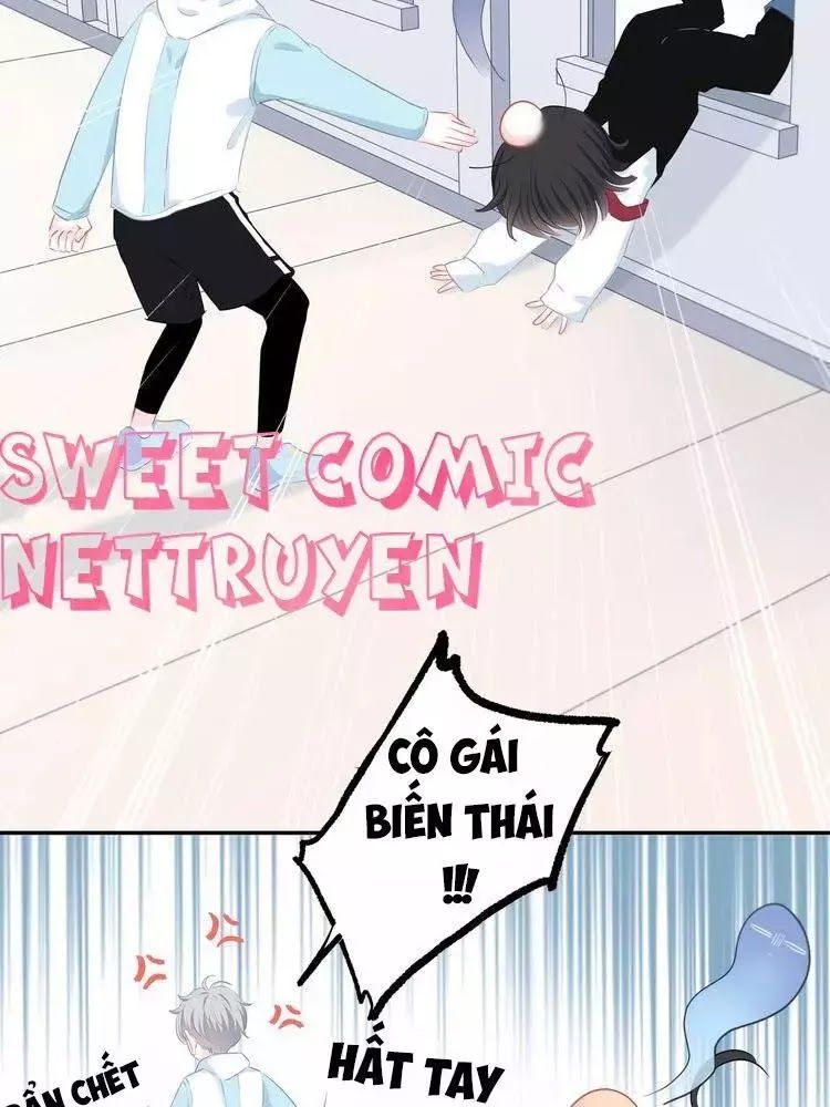 Vấp Phải Phản Quang Chap 3 - Next Chap 4