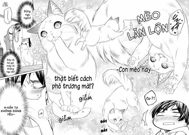Tôi Là Con Sen Của Hoàng Thượng Chap 1 - Next Chap 2