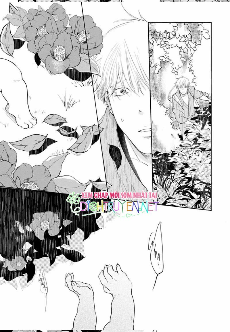 Hoa Trà Đỏ Chap 1 - Next Chap 2