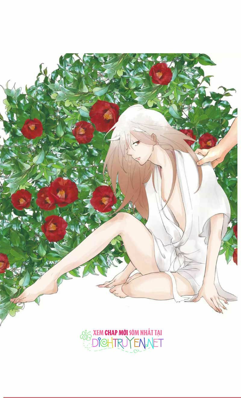Hoa Trà Đỏ Chap 1 - Next Chap 2