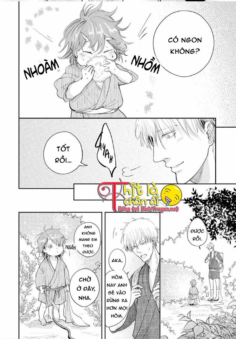 Hoa Trà Đỏ Chap 1 - Next Chap 2