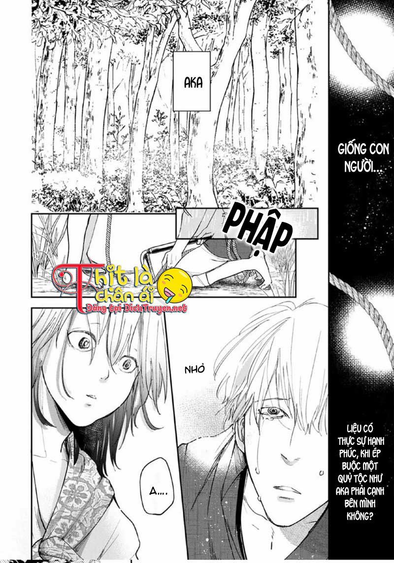 Hoa Trà Đỏ Chap 1 - Next Chap 2