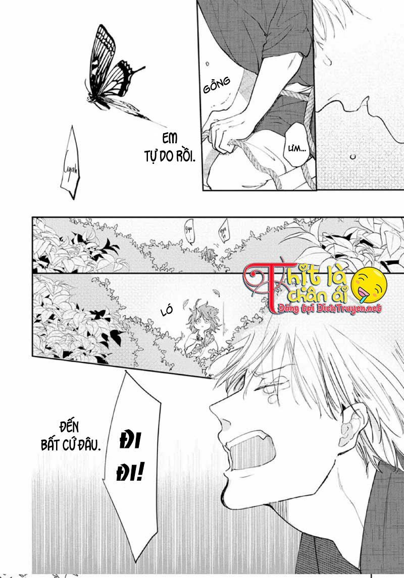 Hoa Trà Đỏ Chap 1 - Next Chap 2