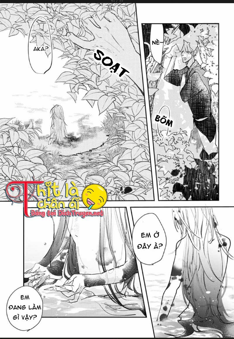 Hoa Trà Đỏ Chap 2 - Next Chap 3