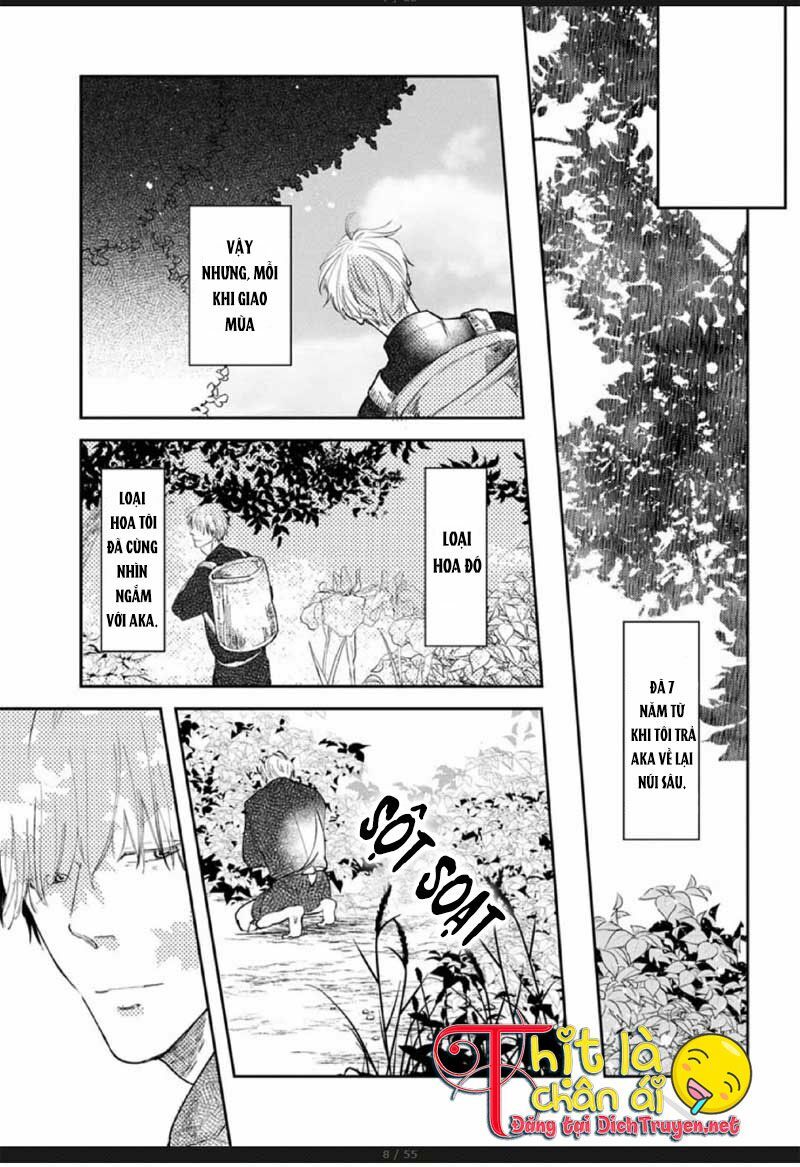 Hoa Trà Đỏ Chap 2 - Next Chap 3