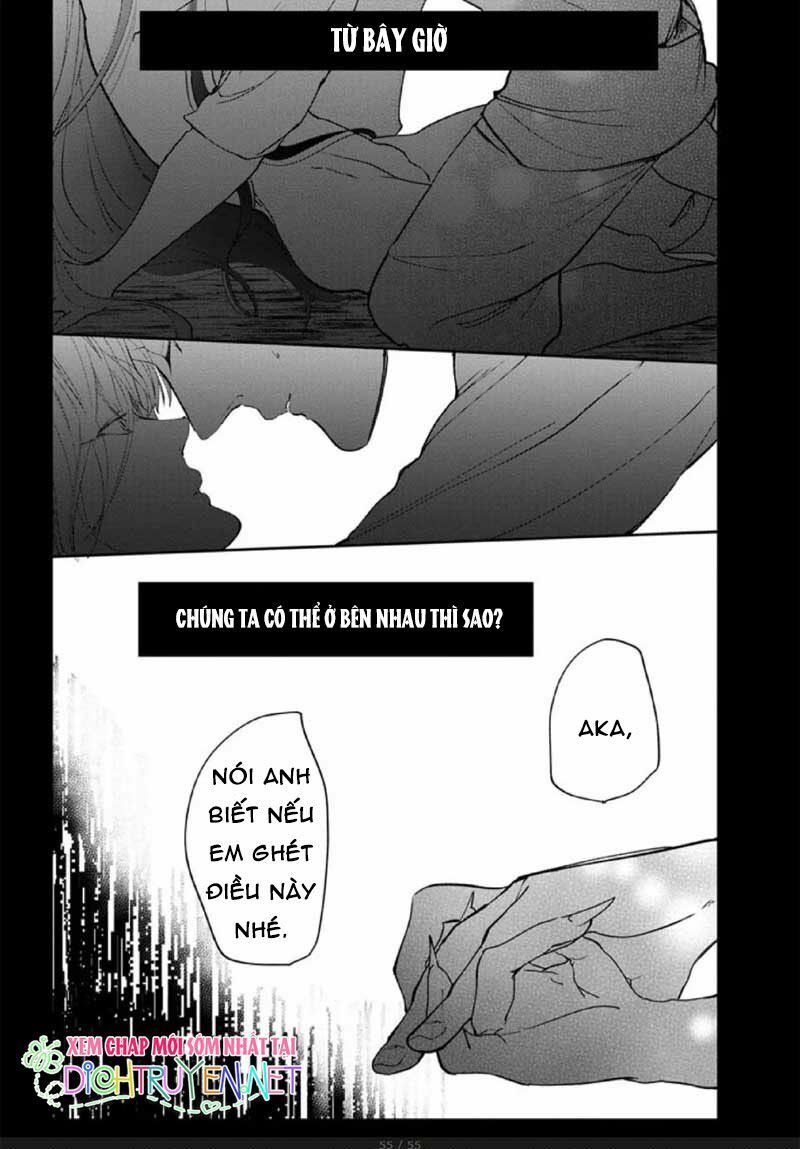 Hoa Trà Đỏ Chap 2 - Next Chap 3
