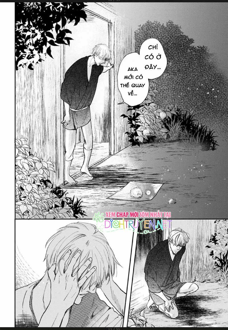 Hoa Trà Đỏ Chap 2 - Next Chap 3