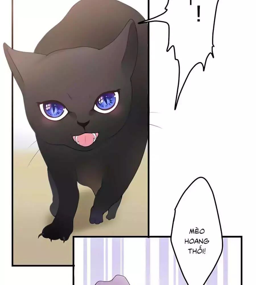 Độ Ấm Quái Vật Kiệm Lời Chap 1 - Next Chap 2