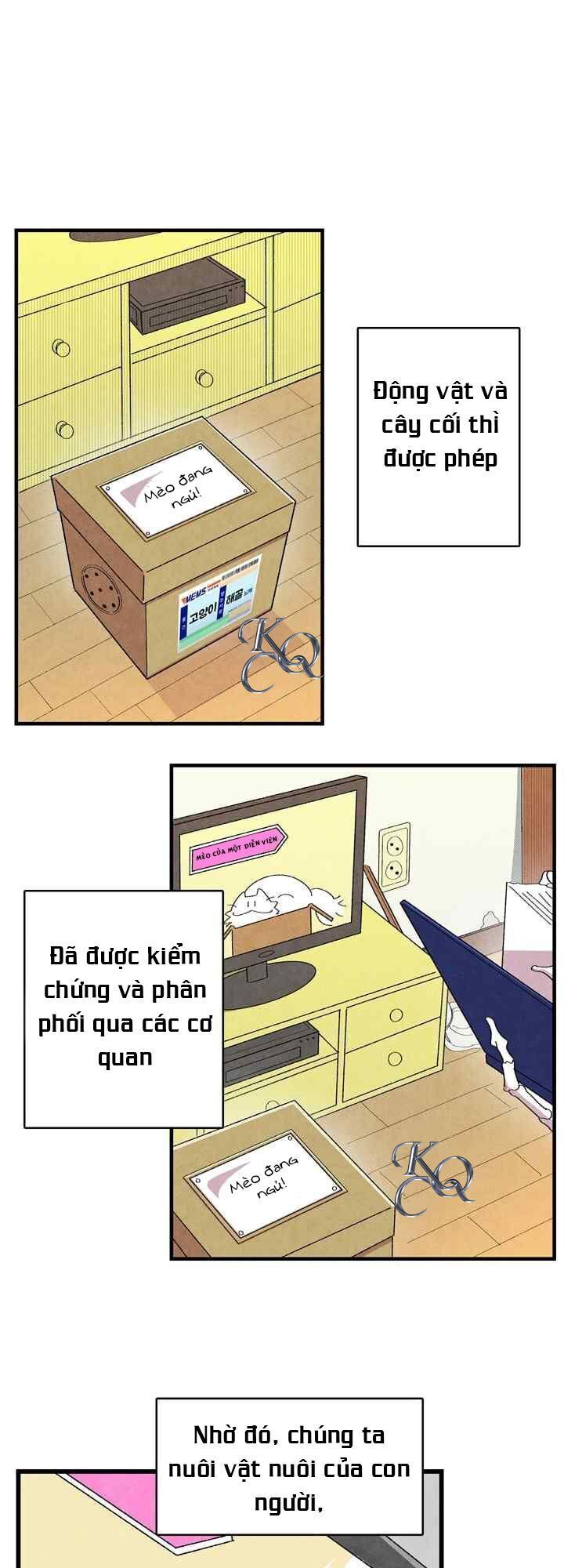 Biến Đổi - Metamorphosis Chap 1 - Next Chap 2