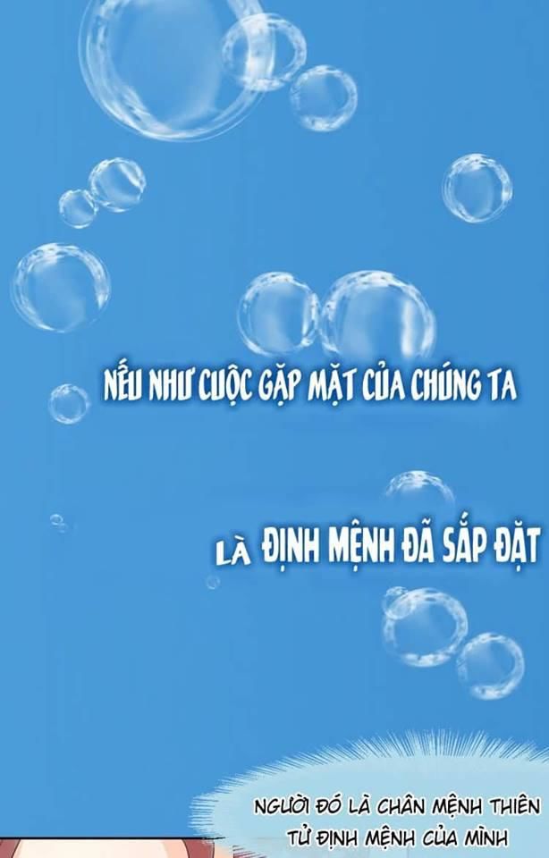 Bộ Váy Của Nhân Ngư - Trang 2