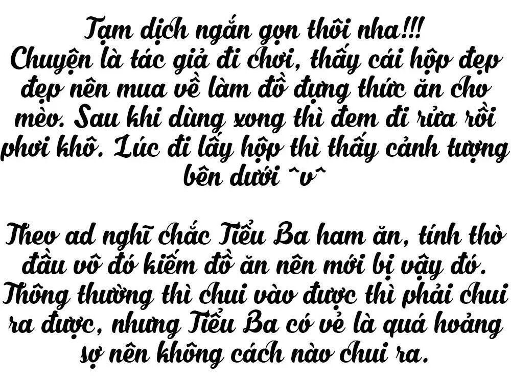 Thái Tử Phi Nhà Ta Thật Hung Hăng - Trang 1