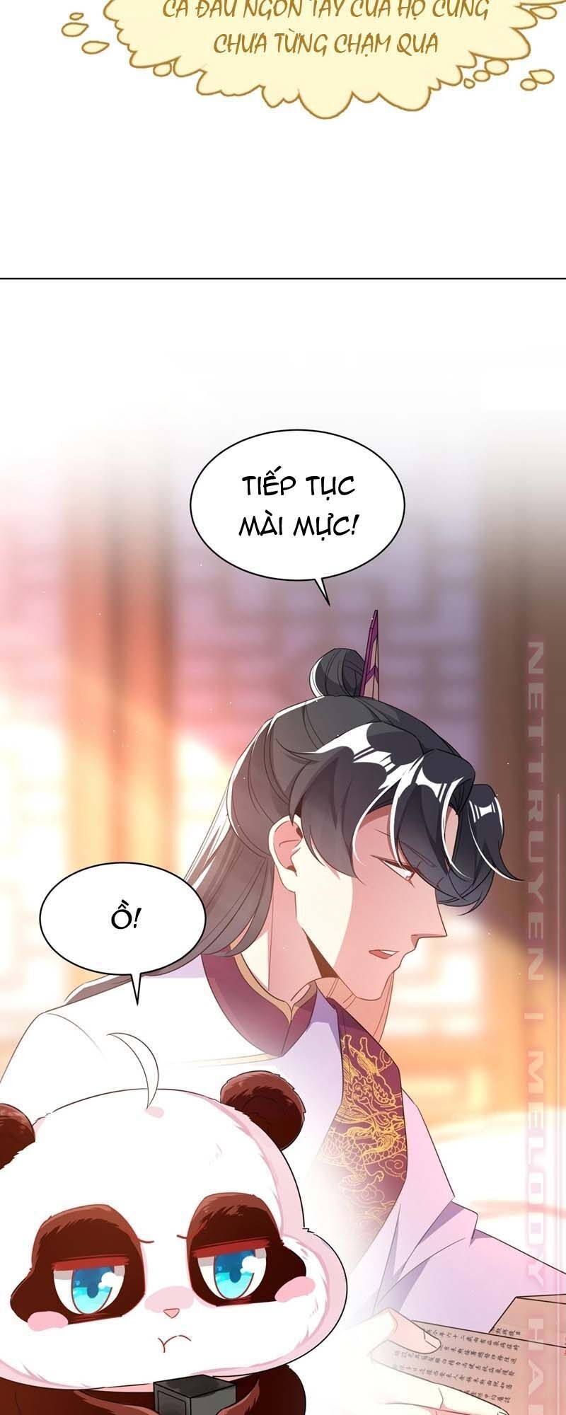 Thiên Thần Gấu Trúc Muốn Được Ôm - Trang 20