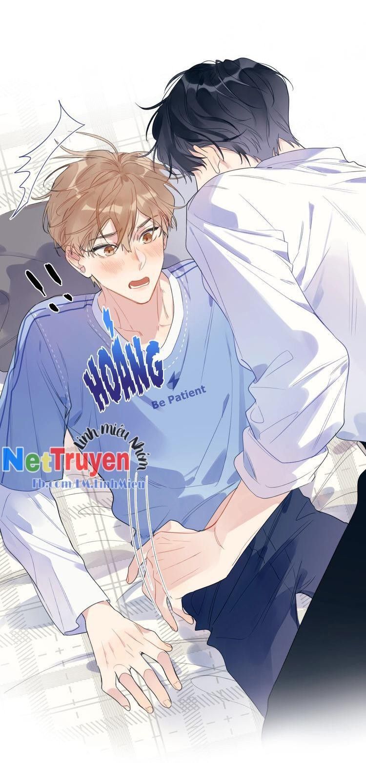 Ánh Nắng Rực Rỡ Của Tinh Trình - Trang 15