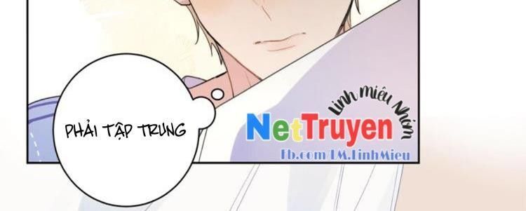 Ánh Nắng Rực Rỡ Của Tinh Trình - Trang 19