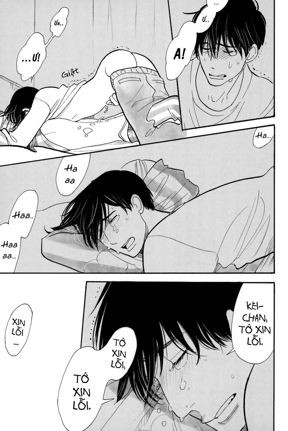 Itoshi No Nekokke - Đường Dài Về Nhà - Trang 35