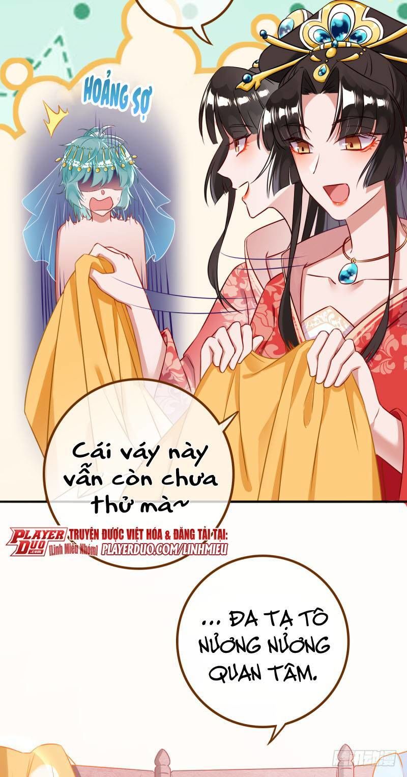 Hệ Thống Nghịch Tập - Trang 4