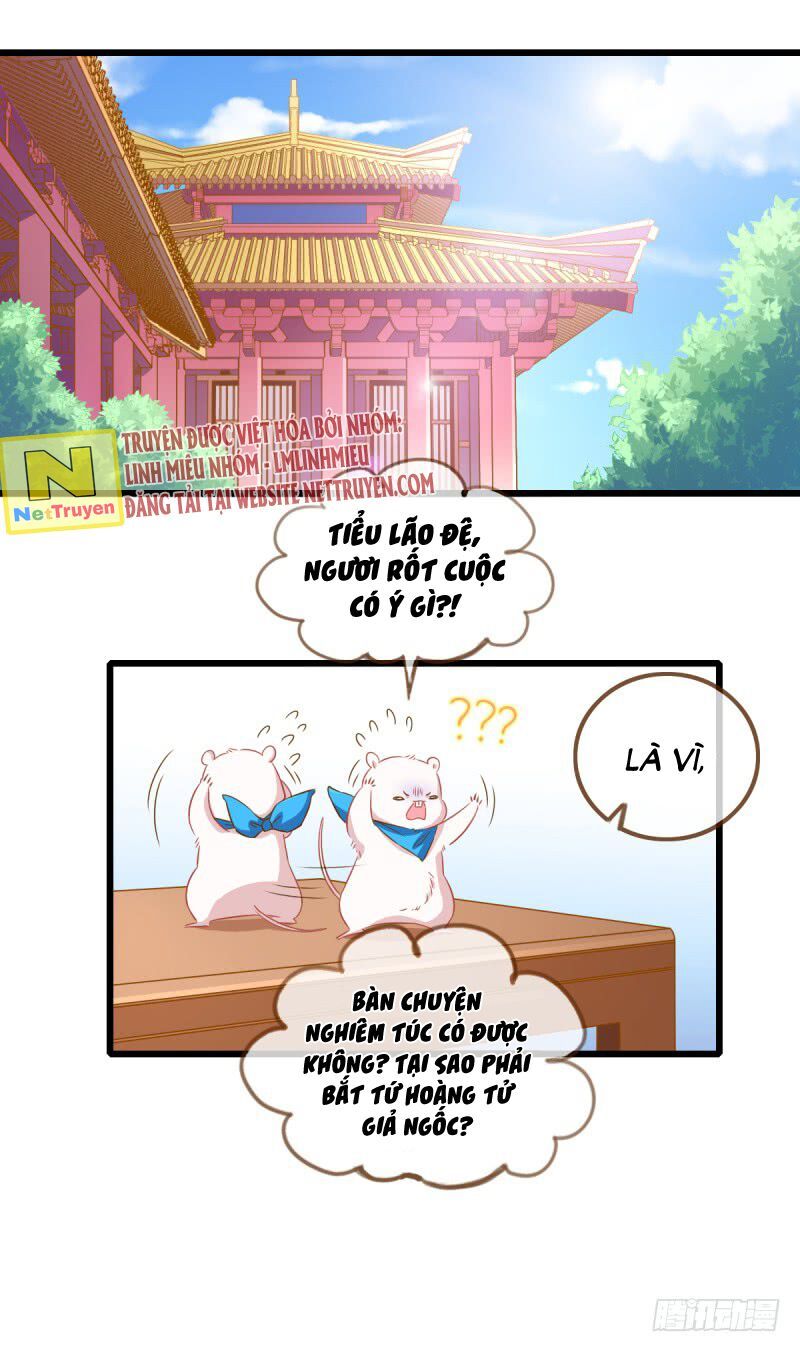 Hệ Thống Nghịch Tập - Trang 2